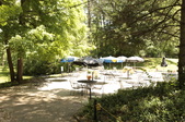 Enlarge photo 37