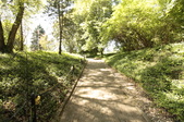 Enlarge photo 41