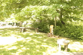 Enlarge photo 45