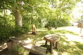 Enlarge photo 47