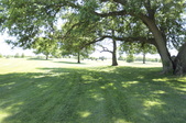 Enlarge photo 38