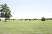 Enlarge photo 40