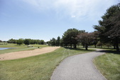 Enlarge photo 44