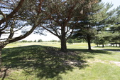 Enlarge photo 46