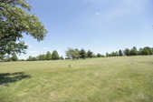 Enlarge photo 51