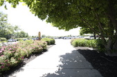 Enlarge photo 53