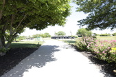 Enlarge photo 54