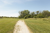 Enlarge photo 33