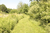 Enlarge photo 34