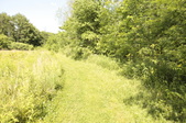 Enlarge photo 35