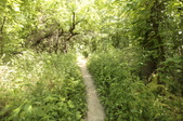 Enlarge photo 36