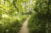 Enlarge photo 37