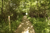 Enlarge photo 38