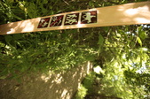 Enlarge photo 39