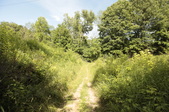 Enlarge photo 40