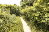 Enlarge photo 41