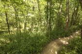 Enlarge photo 43