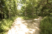Enlarge photo 45