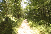 Enlarge photo 46