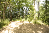 Enlarge photo 47