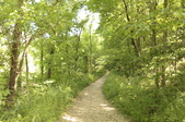 Enlarge photo 48