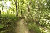 Enlarge photo 49