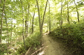 Enlarge photo 50
