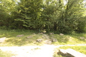 Enlarge photo 51
