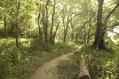 Enlarge photo 53