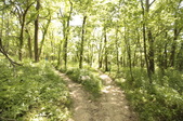 Enlarge photo 56
