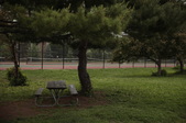 Park: Tarkington Park - 40th & Illinois