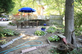 Enlarge photo 93