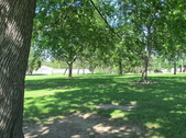 Garfield Park