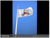 HL Bingo Flags