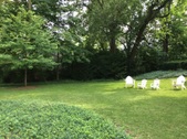 Enlarge photo 26