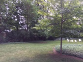 Enlarge photo 27