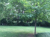 Enlarge photo 28