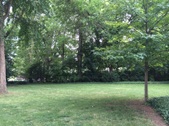 Enlarge photo 29