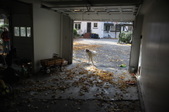 Enlarge photo 36