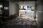 Enlarge photo 37