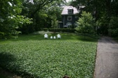 Enlarge photo 18