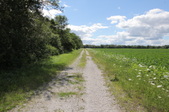 Enlarge photo 3