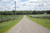 Holiday Road