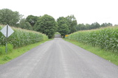 Country Road
