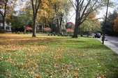 Enlarge photo 75