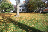 Enlarge photo 76