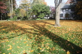 Enlarge photo 77