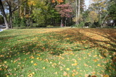 Enlarge photo 78
