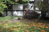 Enlarge photo 81