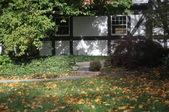 Enlarge photo 82